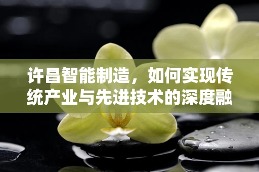 许昌智能制造，如何实现传统产业与先进技术的深度融合？