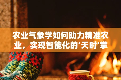 农业气象学如何助力精准农业，实现智能化的‘天时’掌握？