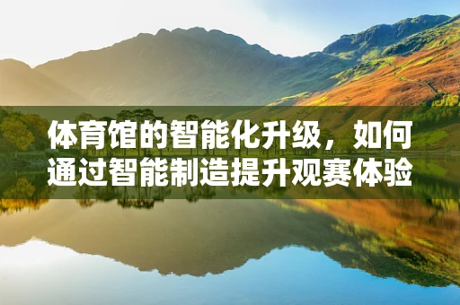 体育馆的智能化升级，如何通过智能制造提升观赛体验？