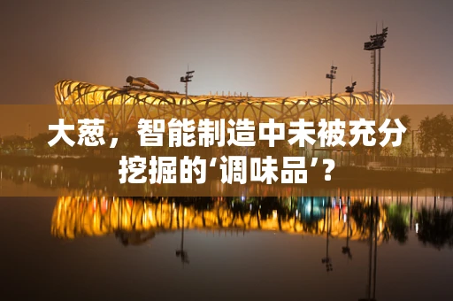 大葱，智能制造中未被充分挖掘的‘调味品’？