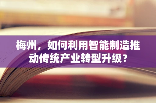 梅州，如何利用智能制造推动传统产业转型升级？