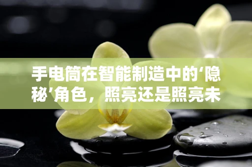 手电筒在智能制造中的‘隐秘’角色，照亮还是照亮未来？