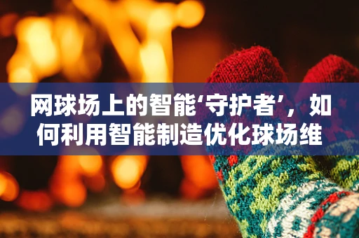 网球场上的智能‘守护者’，如何利用智能制造优化球场维护？
