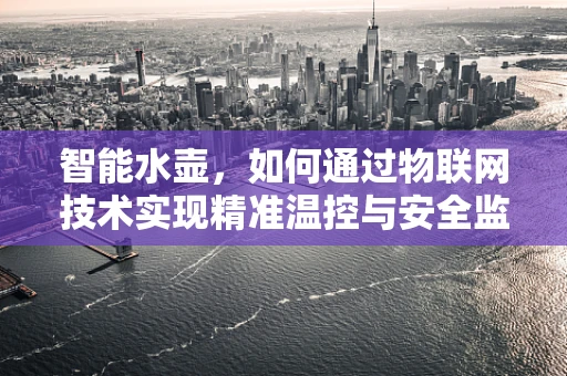 智能水壶，如何通过物联网技术实现精准温控与安全监控？