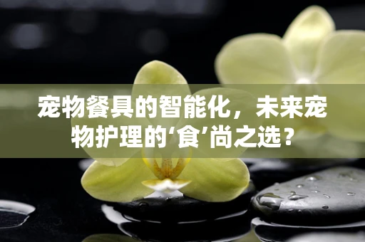 宠物餐具的智能化，未来宠物护理的‘食’尚之选？