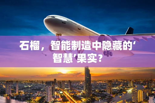 石榴，智能制造中隐藏的‘智慧’果实？