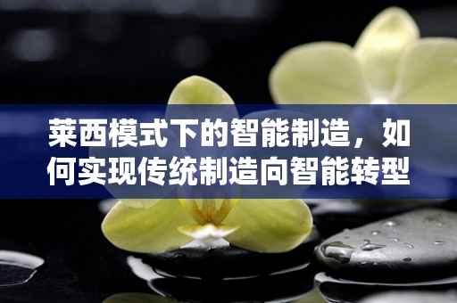 莱西模式下的智能制造，如何实现传统制造向智能转型的‘莱西路径’？