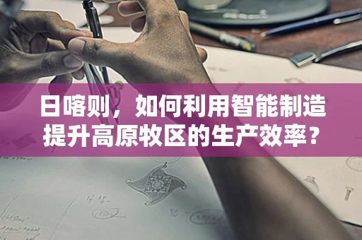 日喀则，如何利用智能制造提升高原牧区的生产效率？