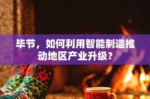 毕节，如何利用智能制造推动地区产业升级？