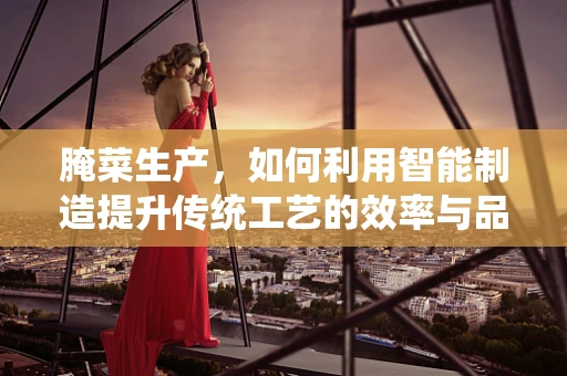 腌菜生产，如何利用智能制造提升传统工艺的效率与品质？
