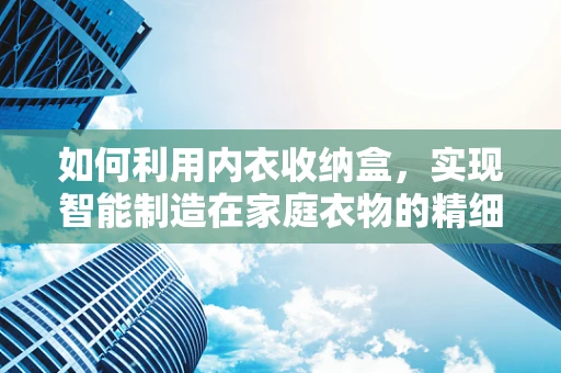 如何利用内衣收纳盒，实现智能制造在家庭衣物的精细化管理？