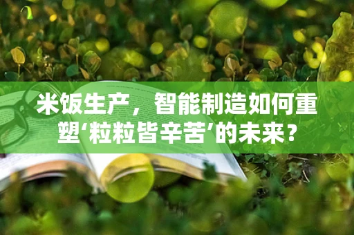 米饭生产，智能制造如何重塑‘粒粒皆辛苦’的未来？