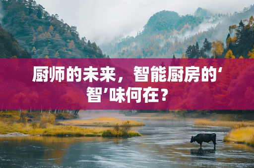 厨师的未来，智能厨房的‘智’味何在？