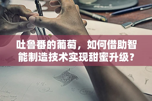 吐鲁番的葡萄，如何借助智能制造技术实现甜蜜升级？