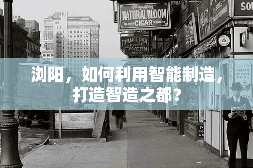浏阳，如何利用智能制造，打造智造之都？