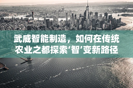 武威智能制造，如何在传统农业之都探索‘智’变新路径？