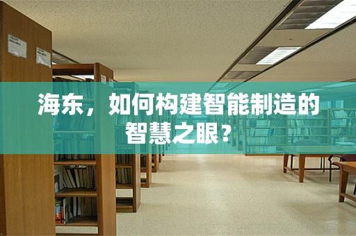 海东，如何构建智能制造的智慧之眼？