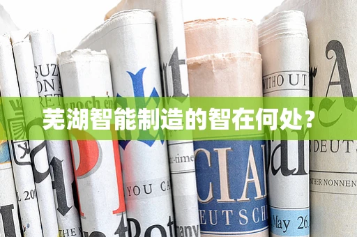 芜湖智能制造的智在何处？