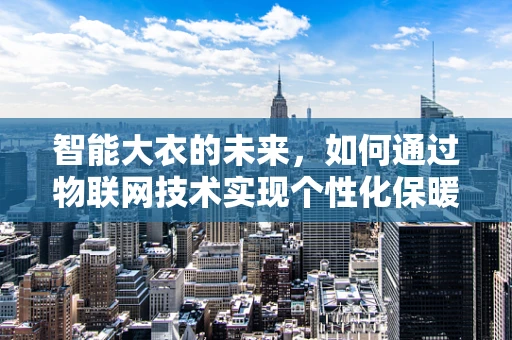 智能大衣的未来，如何通过物联网技术实现个性化保暖？