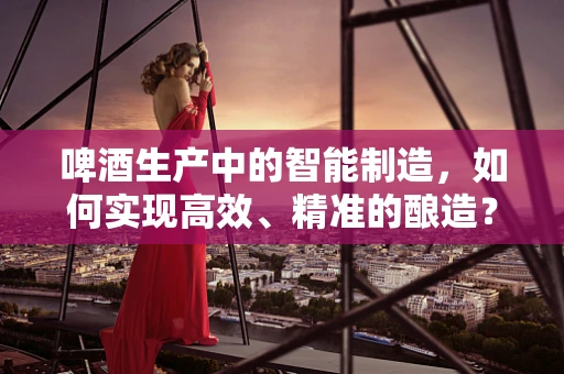 啤酒生产中的智能制造，如何实现高效、精准的酿造？