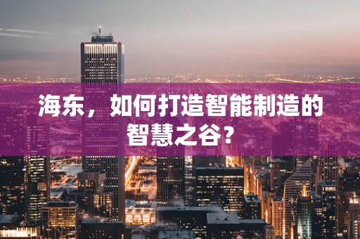 海东，如何打造智能制造的智慧之谷？