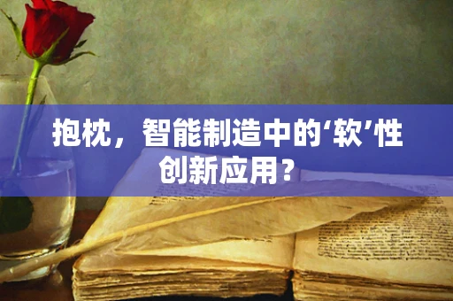 抱枕，智能制造中的‘软’性创新应用？