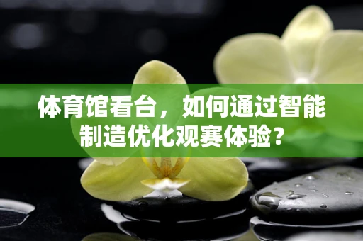 体育馆看台，如何通过智能制造优化观赛体验？