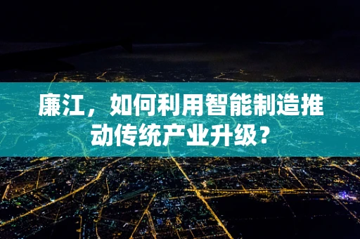 廉江，如何利用智能制造推动传统产业升级？