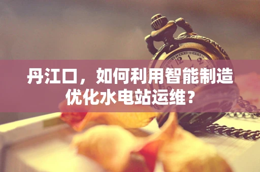 丹江口，如何利用智能制造优化水电站运维？