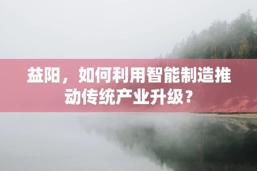 益阳，如何利用智能制造推动传统产业升级？