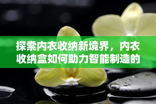 探索内衣收纳新境界，内衣收纳盒如何助力智能制造的精细化管理？