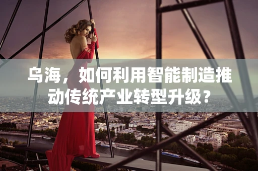 乌海，如何利用智能制造推动传统产业转型升级？