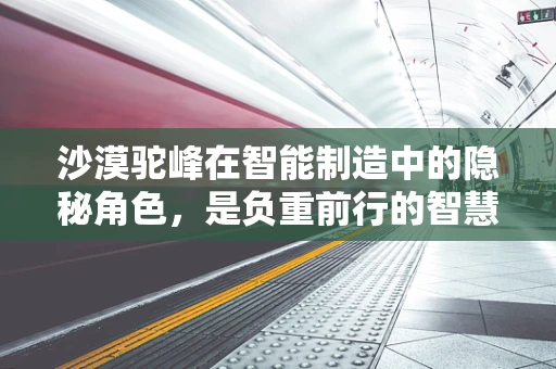 沙漠驼峰在智能制造中的隐秘角色，是负重前行的智慧象征，还是未来物流的解决方案？