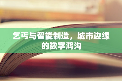 乞丐与智能制造，城市边缘的数字鸿沟