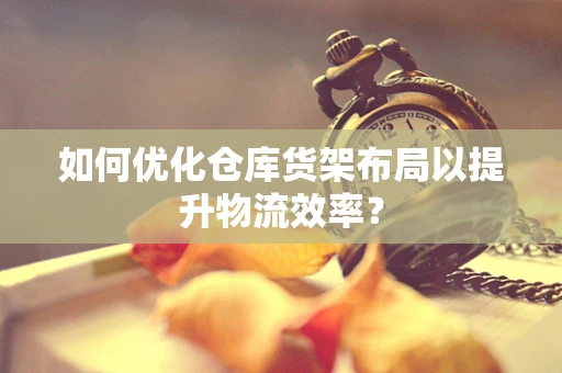 如何优化仓库货架布局以提升物流效率？