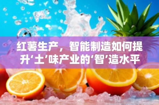 红薯生产，智能制造如何提升‘土’味产业的‘智’造水平？