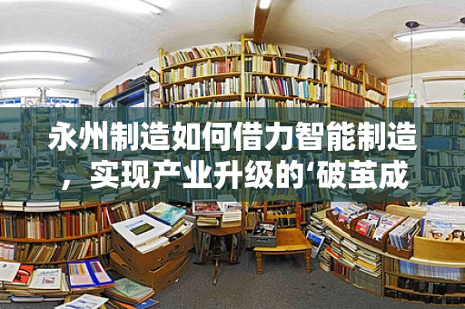 永州制造如何借力智能制造，实现产业升级的‘破茧成蝶’？