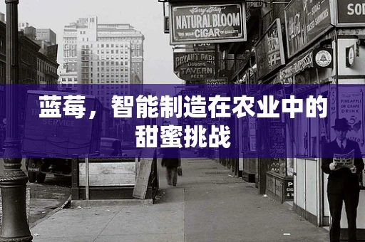 蓝莓，智能制造在农业中的甜蜜挑战