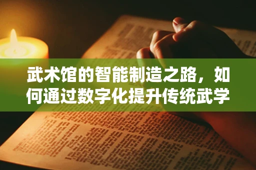 武术馆的智能制造之路，如何通过数字化提升传统武学体验？