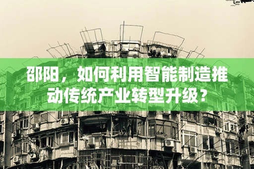 邵阳，如何利用智能制造推动传统产业转型升级？