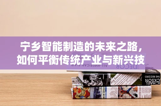宁乡智能制造的未来之路，如何平衡传统产业与新兴技术的融合？
