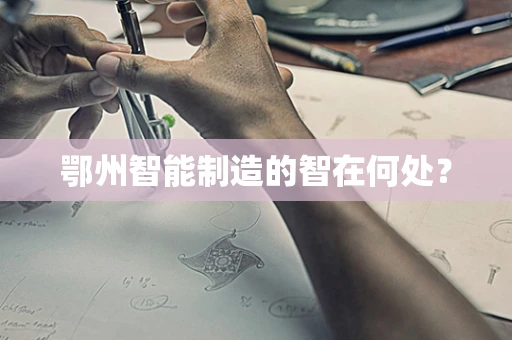 鄂州智能制造的智在何处？