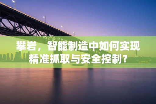 攀岩，智能制造中如何实现精准抓取与安全控制？