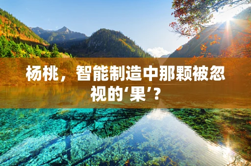 杨桃，智能制造中那颗被忽视的‘果’？