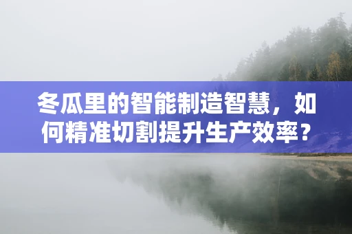 冬瓜里的智能制造智慧，如何精准切割提升生产效率？