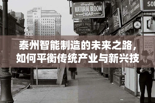 泰州智能制造的未来之路，如何平衡传统产业与新兴技术的融合？