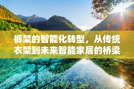 裤架的智能化转型，从传统衣架到未来智能家居的桥梁