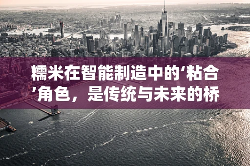 糯米在智能制造中的‘粘合’角色，是传统与未来的桥梁吗？