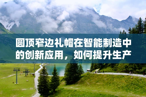 圆顶窄边礼帽在智能制造中的创新应用，如何提升生产线安全与效率？