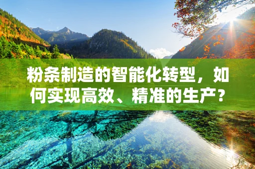 粉条制造的智能化转型，如何实现高效、精准的生产？